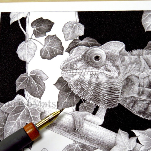 A4サイズ複製画・カメレオン 絵画 松野ちり子 通販 11984645｜Creema