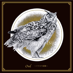 Owl ~フクロウ画集~ 4枚目の画像
