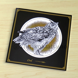Owl ~フクロウ画集~ 5枚目の画像
