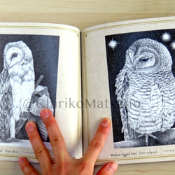 Owl ~フクロウ画集~ 7枚目の画像