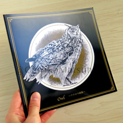 Owl ~フクロウ画集~ 8枚目の画像