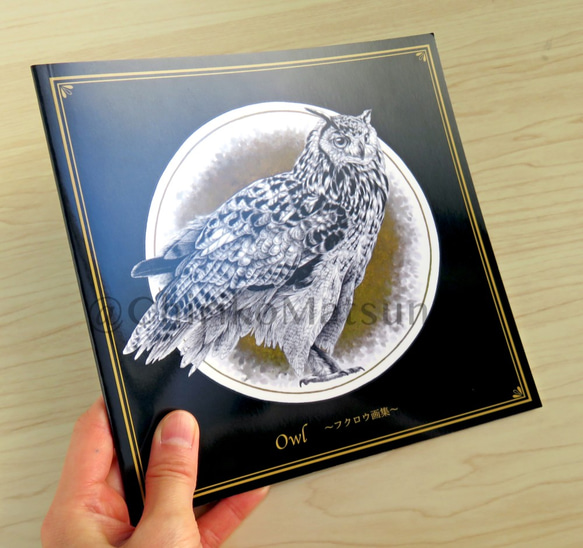 Owl ~フクロウ画集~ 8枚目の画像