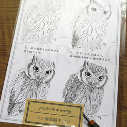 フクロウ　アクリルペン画No.1 フクロウ アクリルペン画No.1 水彩画 ふくろう 絵画 makochin