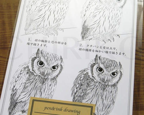 ペン画体験キット・フクロウ 絵画 松野ちり子 通販 9179665｜Creema