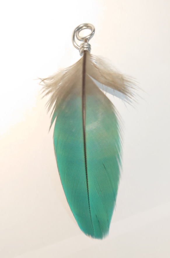 ルリコンゴウインコの羽根を使ったチャーム 3枚目の画像