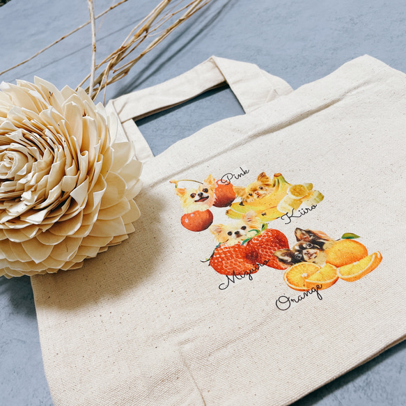 キャンバストートバッグ 