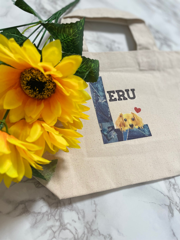 キャンバストートバッグ 