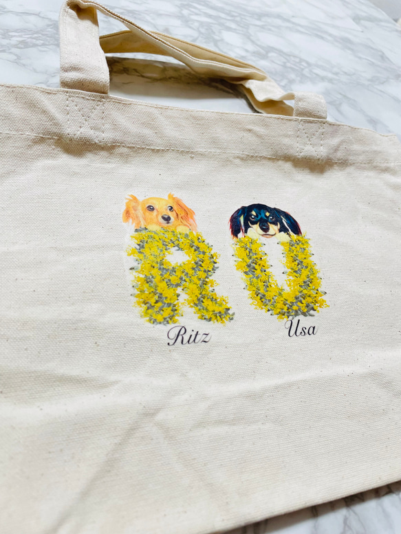 キャンバストートバッグ 