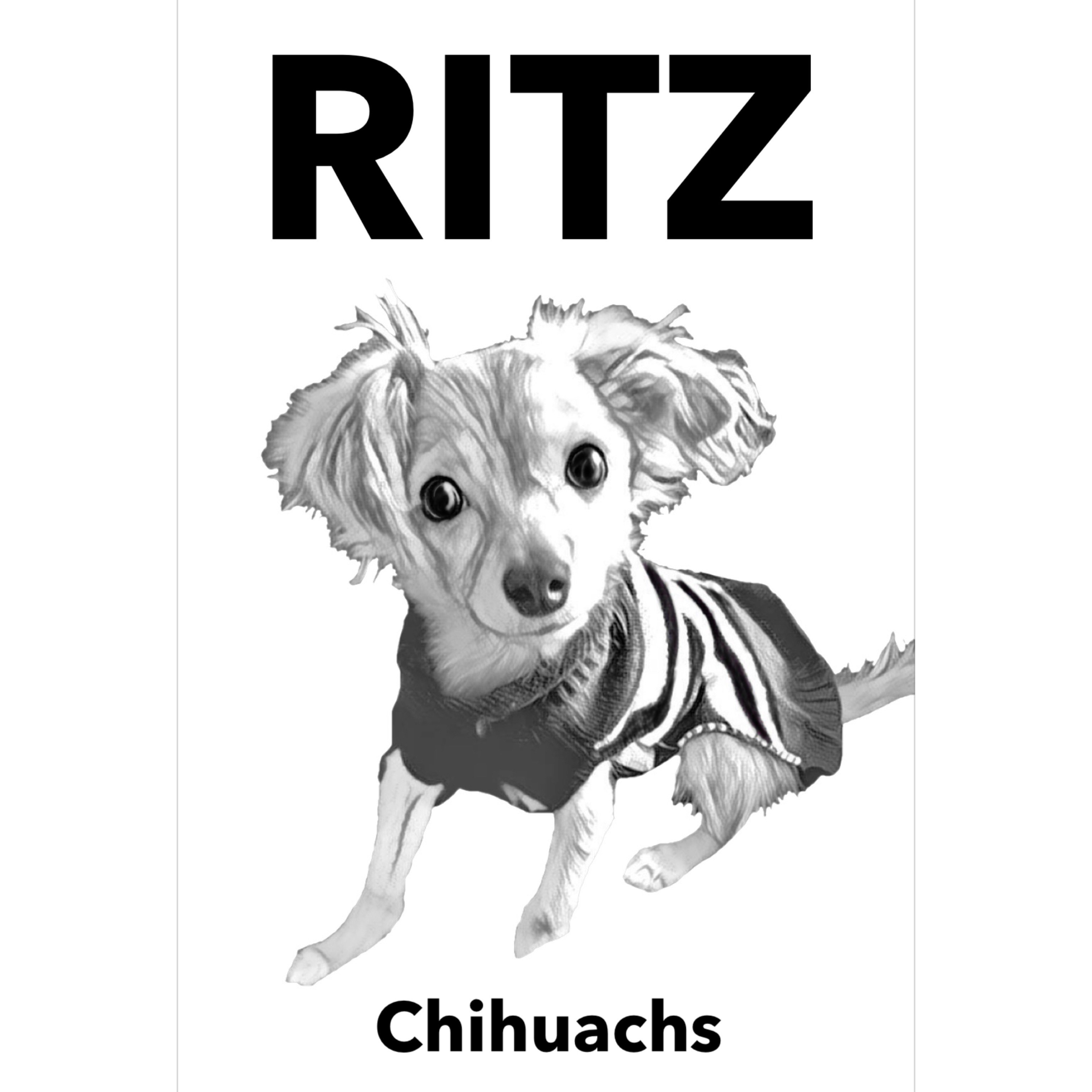 うちの子イラスト画像(モノトーン・合成なし)