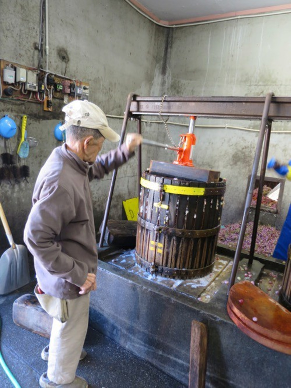 ぶどう酒　勝沼　甲州白甘口　手絞り　農家の飲むためのお酒　希少　て摘み　 6枚目の画像