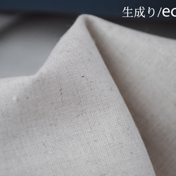  第4張的照片