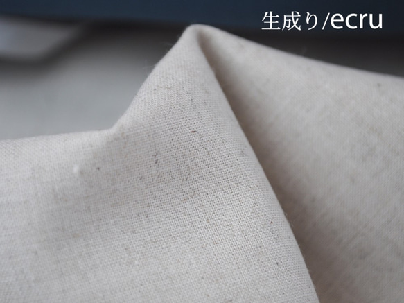  第4張的照片