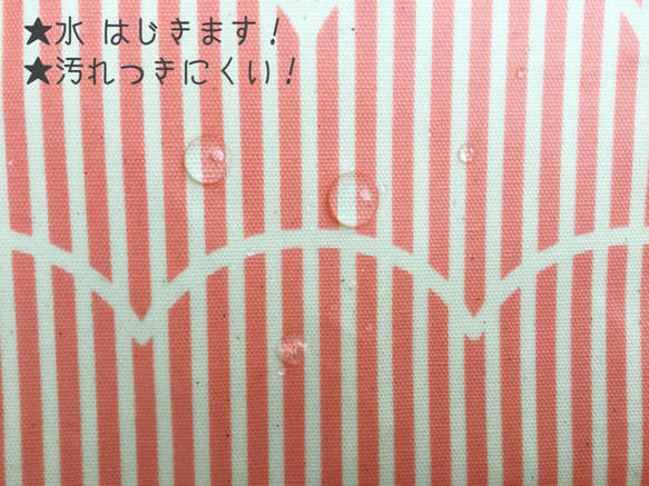 もこもこラインケース＋マスクセット《送料無料》 4枚目の画像