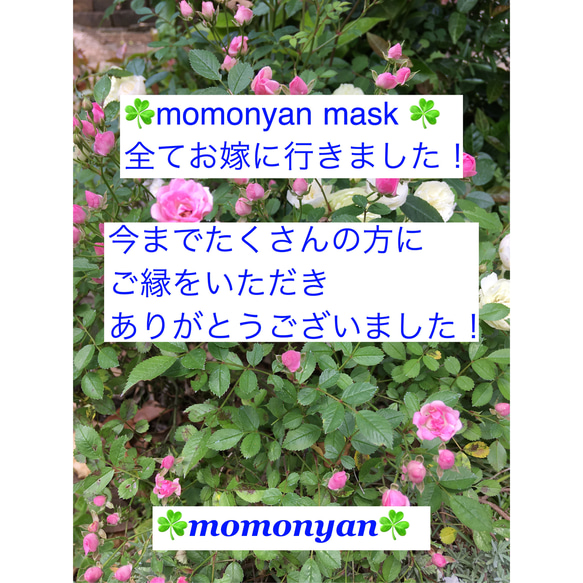 momonyan mask メッシュスポーツMサイズ 1枚目の画像