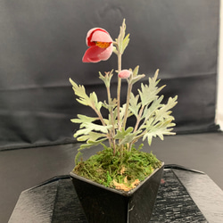 クレイフラワー 水仙 その他インテリア雑貨 Aki 通販 8798290｜Creema