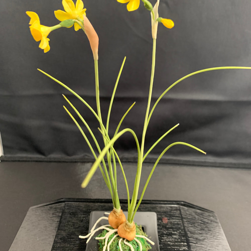 クレイフラワー糸水仙 アートフラワー Aki 通販 11652176｜Creema