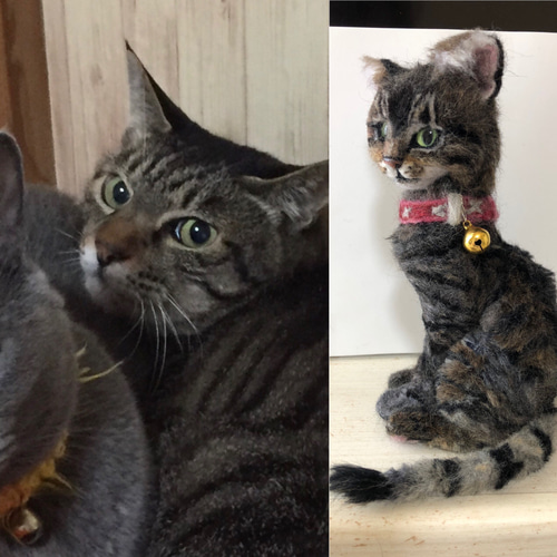 羊毛フェルト 猫 キジトラ サバトラ ミックス オーダーメイド