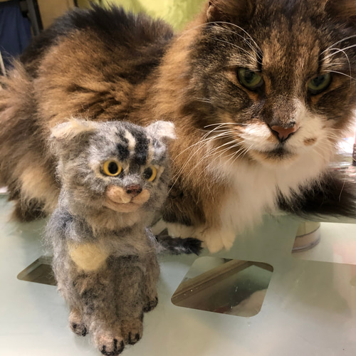 羊毛フェルト 猫 オーダーメイド 受け付け 羊毛フェルト ダイヤ・もん 