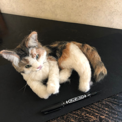 羊毛フェルト 猫 キジトラ サバトラ ミックス オーダーメイド