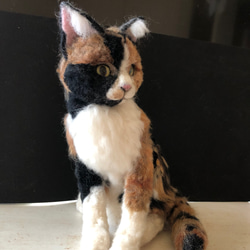 羊毛フェルト　猫　オーダーメイド　受け付け　三毛猫　日本猫　ミックス 10枚目の画像
