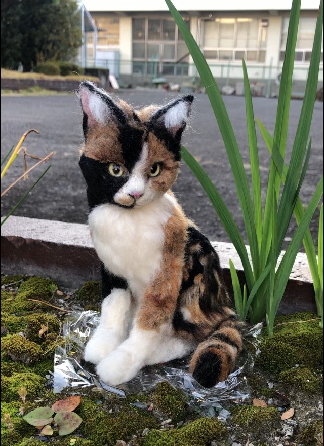 羊毛フェルト。猫。オーダーNo.21 うたげさん🐈 ＊ オーダー猫さん・No.72 凛々しいお顔立ちの