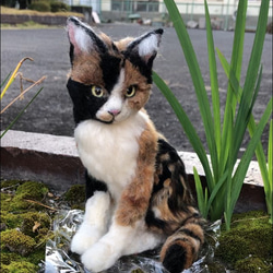 羊毛フェルト　猫　オーダーメイド　受け付け　三毛猫　日本猫　ミックス 1枚目の画像
