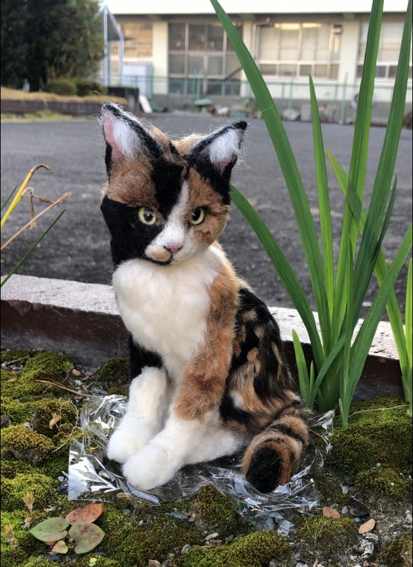 羊毛フェルト　猫　オーダーメイド　受け付け　三毛猫　日本猫　ミックス 1枚目の画像