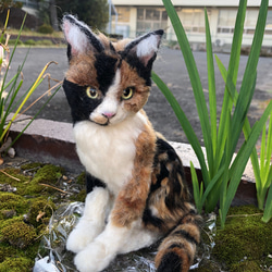 羊毛フェルト　猫　オーダーメイド　受け付け　三毛猫　日本猫　ミックス 2枚目の画像