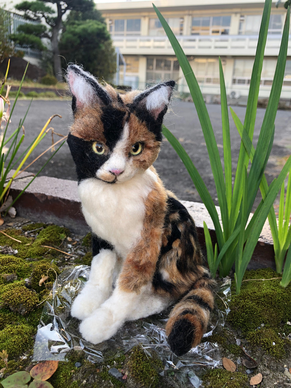 羊毛フェルト　猫　オーダーメイド　受け付け　三毛猫　日本猫　ミックス 2枚目の画像