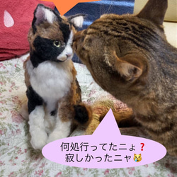 羊毛フェルト　猫　オーダーメイド　受け付け　三毛猫　日本猫　ミックス 4枚目の画像