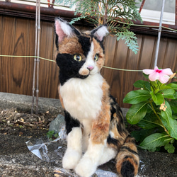 羊毛フェルト　猫　オーダーメイド　受け付け　三毛猫　日本猫　ミックス 5枚目の画像