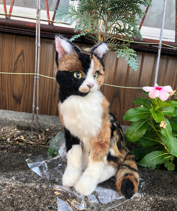 羊毛フェルト　猫　オーダーメイド　受け付け　三毛猫　日本猫　ミックス 5枚目の画像