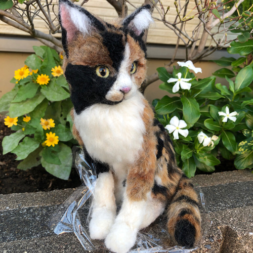羊毛フェルト 猫 オーダーメイド 受け付け 三毛猫 日本猫