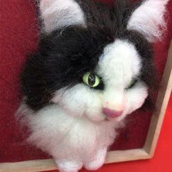 羊毛フェルト　猫　ノルウェージャン　フォレストキャット 2枚目の画像