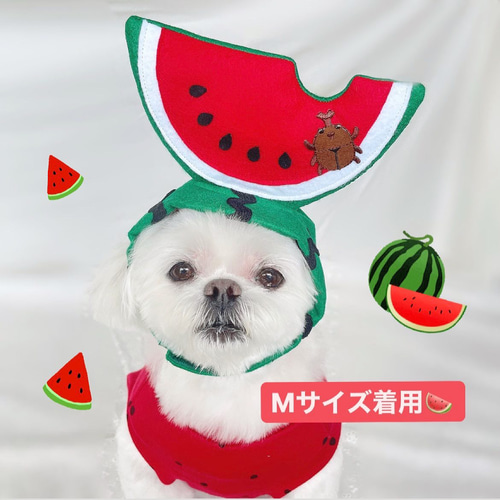 すいか被り物わんちゃん・ねこちゃんにも＊ ペット服・アクセサリー