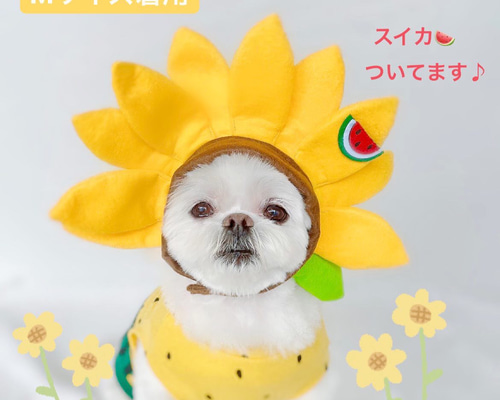ひまわり被り物わんちゃん・ねこちゃんにも＊ ペット服