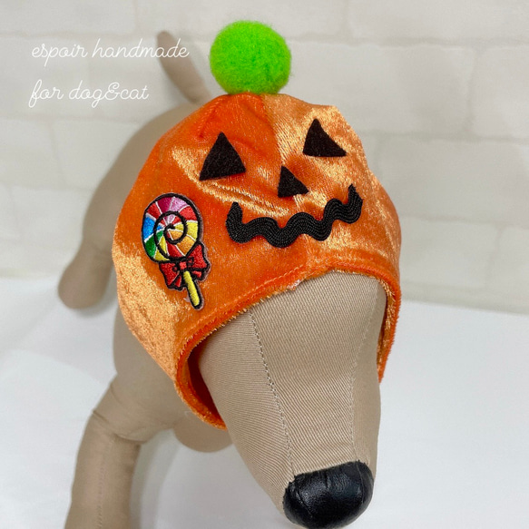 ぶんちゃん、ハロウィン仮装♥️ベッドドレス、わんちゃん猫ちゃん用 かぼちゃ ハロウィン 被り物 わんちゃん・ねこちゃん ペット服