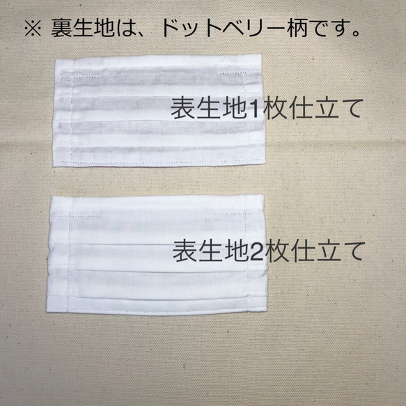 【送料無料・裏地ドットベリー柄・3枚セット】プリーツマスク(ポケット・ノーズワイヤー付) 8枚目の画像