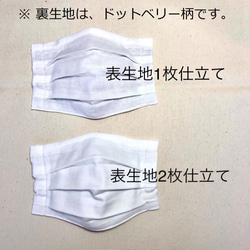 【送料無料・裏地ブルーチェック柄】プリーツマスク(ポケット・ノーズワイヤー付) 8枚目の画像