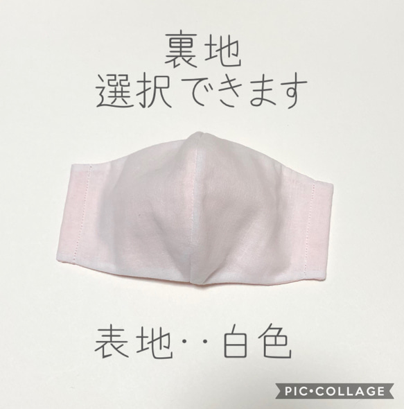 【送料無料】大人用　立体マスク　白色×選択　春夏マスク【受注販売】マスク2020 1枚目の画像