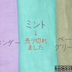 【送料無料】大人用　立体マスク　白色×選択　春夏マスク【受注販売】マスク2020 3枚目の画像