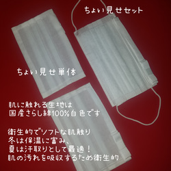 『ちょい見せマスク』りほんスタンダード~不織布マスクの内側が布マスクに変身~カバンにしのばせておきたい１品☆tancoの 4枚目の画像