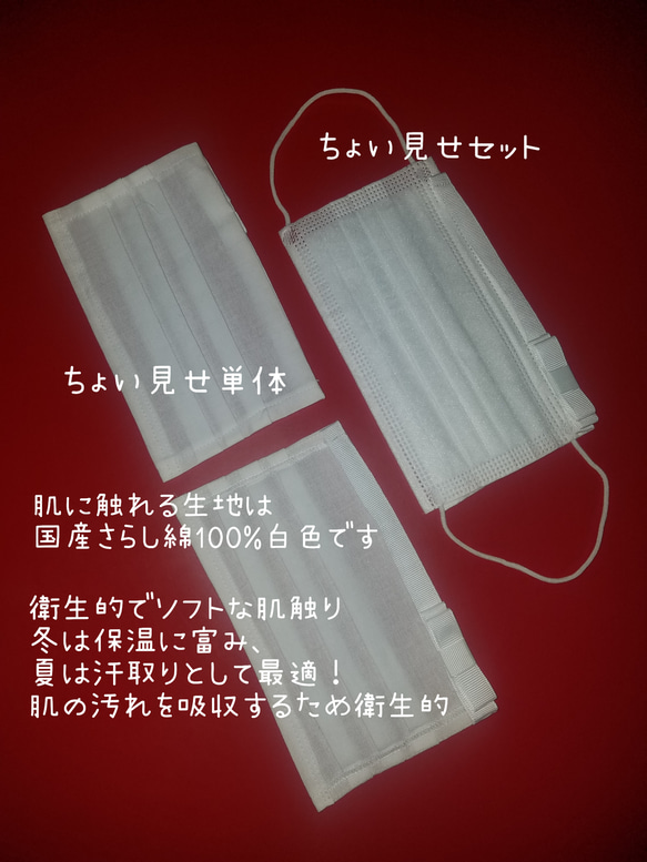 『ちょい見せマスク』りほんスタンダード~不織布マスクの内側が布マスクに変身~カバンにしのばせておきたい１品☆tancoの 4枚目の画像