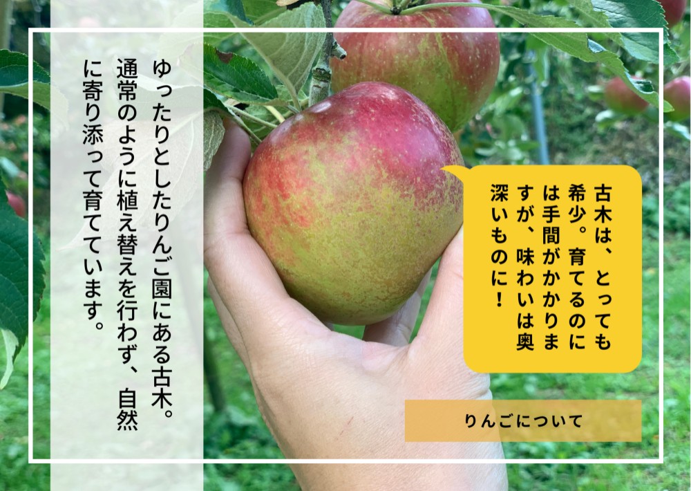 （12本セット・送料無料）〜大人の贅沢りんごジュース〜りんご屋まち子のアップルジュース 720ml