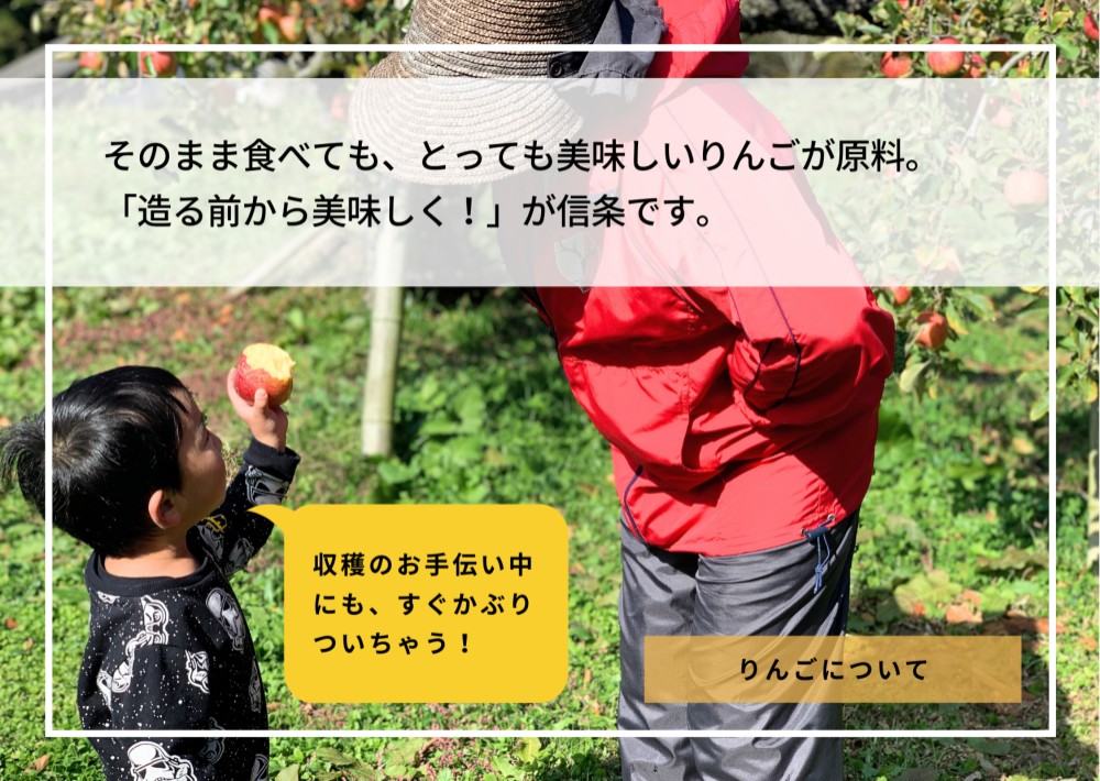 （12本セット・送料無料）〜大人の贅沢りんごジュース〜りんご屋まち子のアップルジュース 720ml