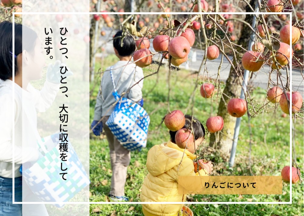 （12本セット・送料無料）〜大人の贅沢りんごジュース〜りんご屋まち子のアップルジュース 720ml