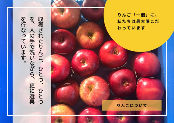 （12本セット・送料無料）〜大人の贅沢りんごジュース〜りんご屋まち子のアップルジュース 720ml 7枚目の画像