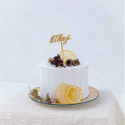 【トッパー1点プレゼント】クレイケーキ/ケーキトッパー　イミテーションケーキ　フェイクケーキ 4枚目の画像