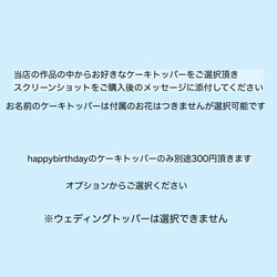 【トッパー1点プレゼント】クレイケーキ / フェイクケーキ　2段 2枚目の画像