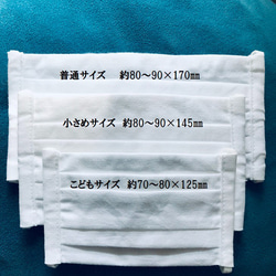 手作りマスク　国産生地　二枚組　プリーツ　ワイヤー入り　春夏秋冬　通年マスク 6枚目の画像